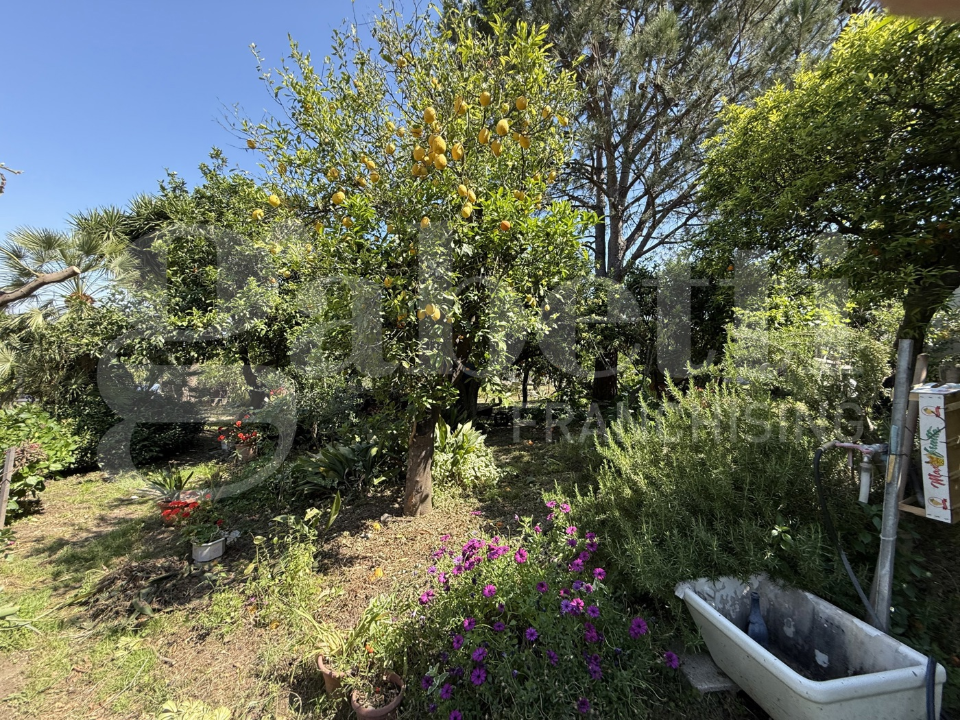 Casa Indipendente - Image 23