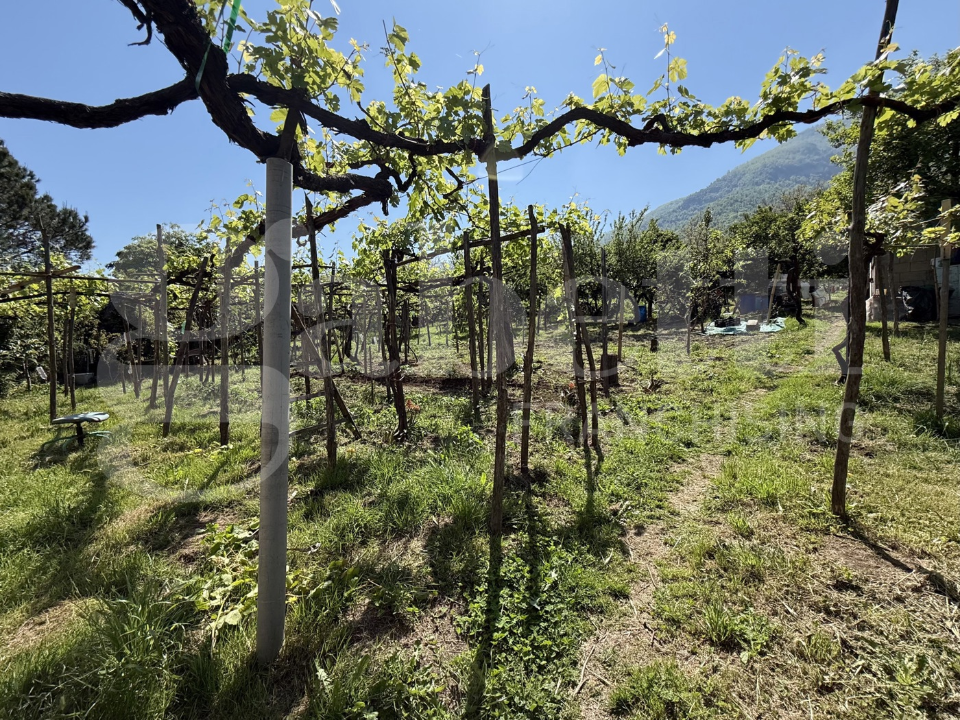 Casa Indipendente - Image 9