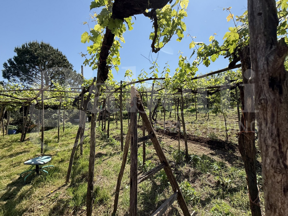 Casa Indipendente - Image 10