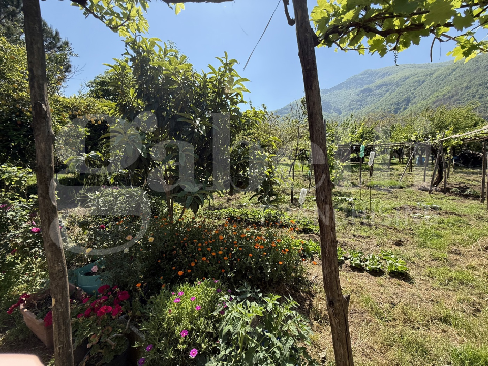 Casa Indipendente - Image 11