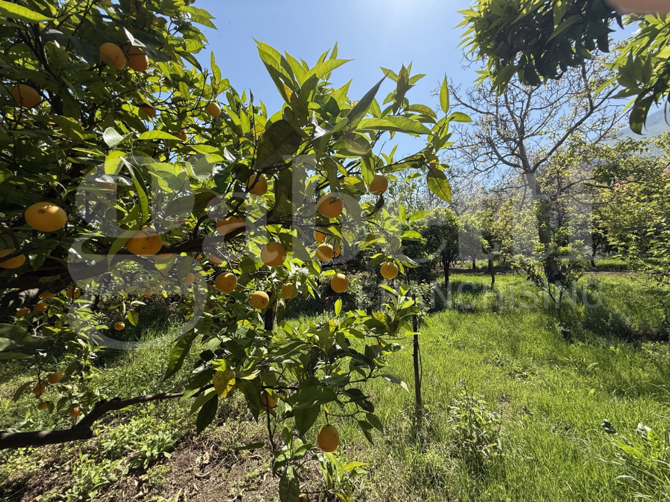 Casa Indipendente - Image 25