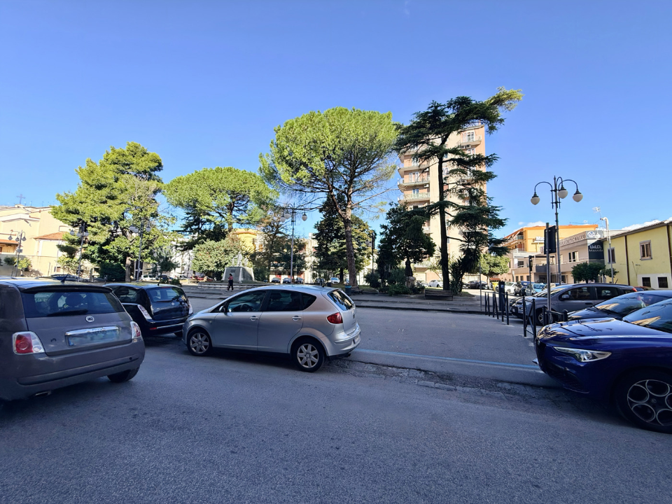 Attività - Image 14