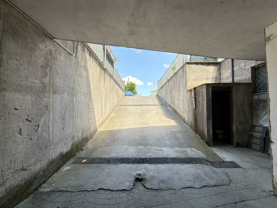 Magazzino - Image 5