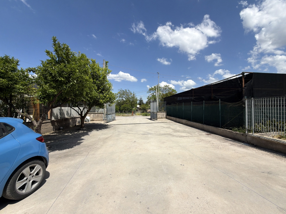 Magazzino - Image 6