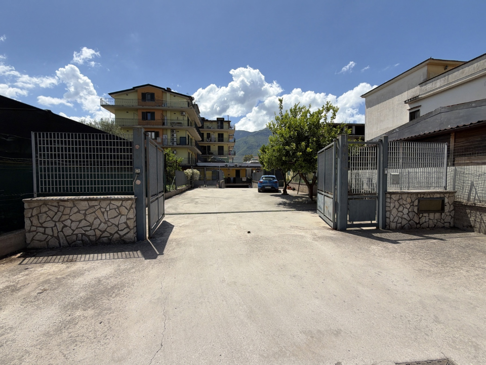 Magazzino - Image 10