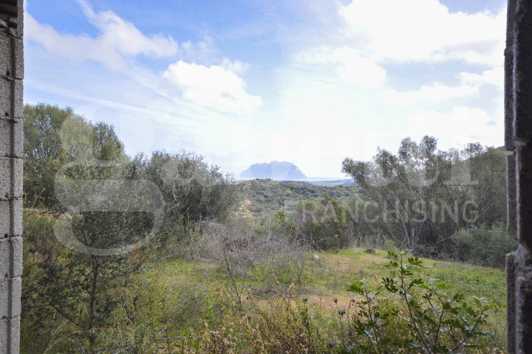 Casa Indipendente - Image 11