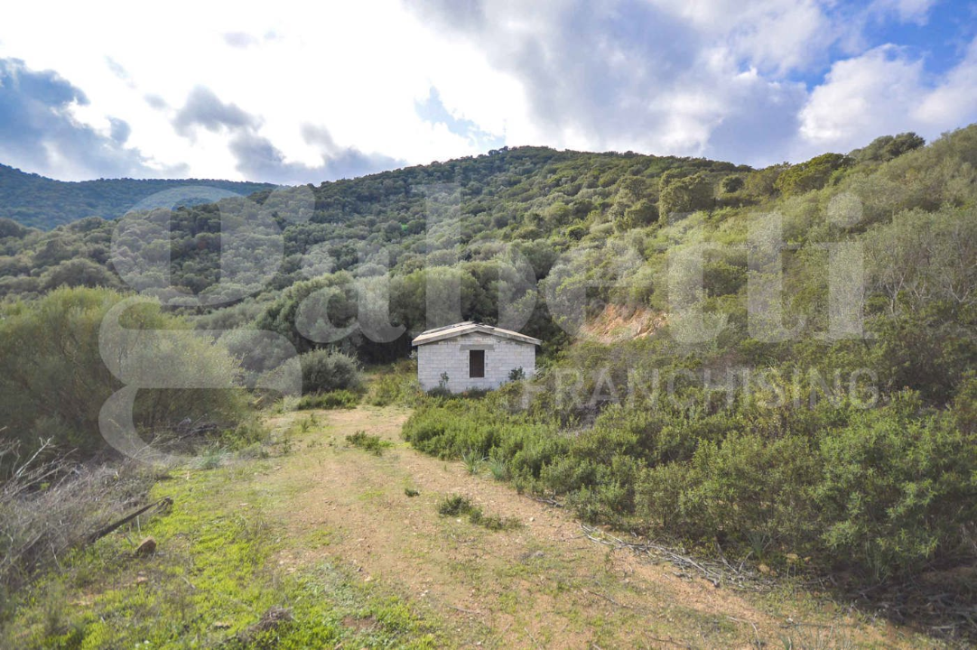 Casa Indipendente - Image 10