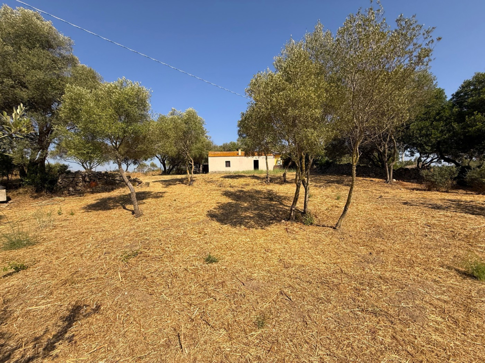 Casa Indipendente - Image 6