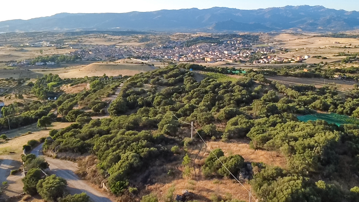 Terreno - Image 1