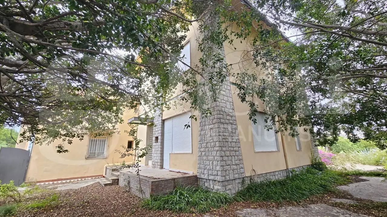 Complesso - Image 25