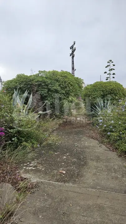 Complesso - Image 26