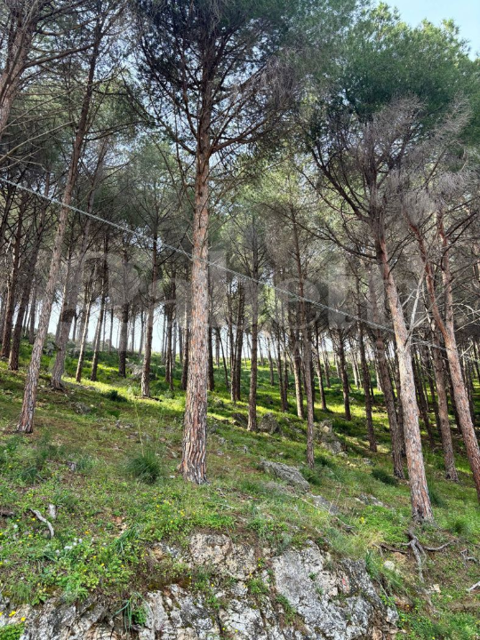 Appartamento - Image 31