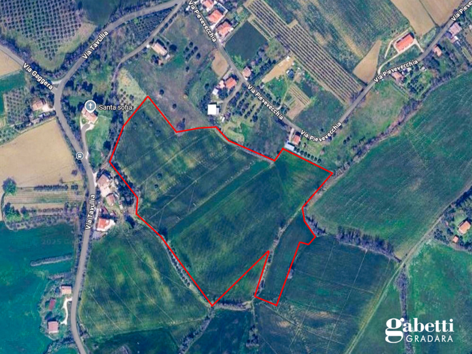 Terreno - Planimetry 1