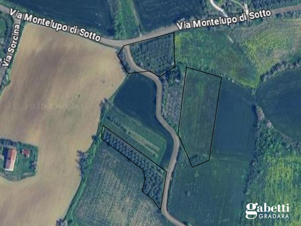 Terreno - Planimetry 1