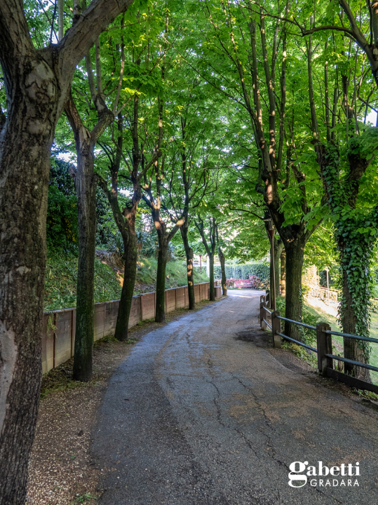 Attività - Image 10