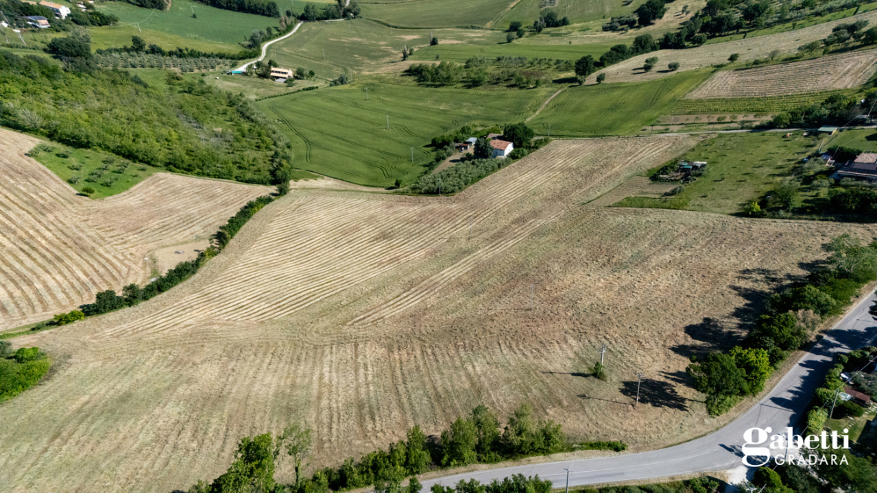 Terreno - Image 1