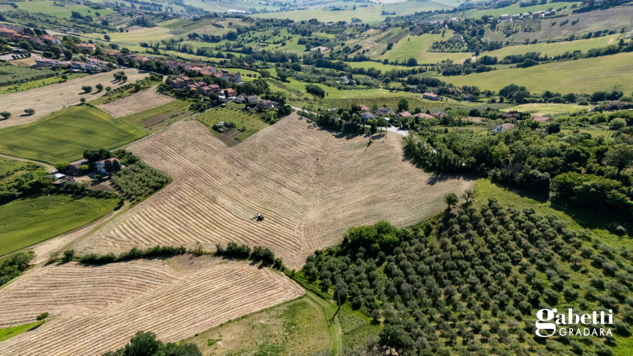 Terreno - Image 5