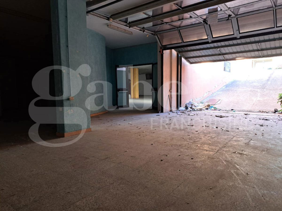 Magazzino - Image 13