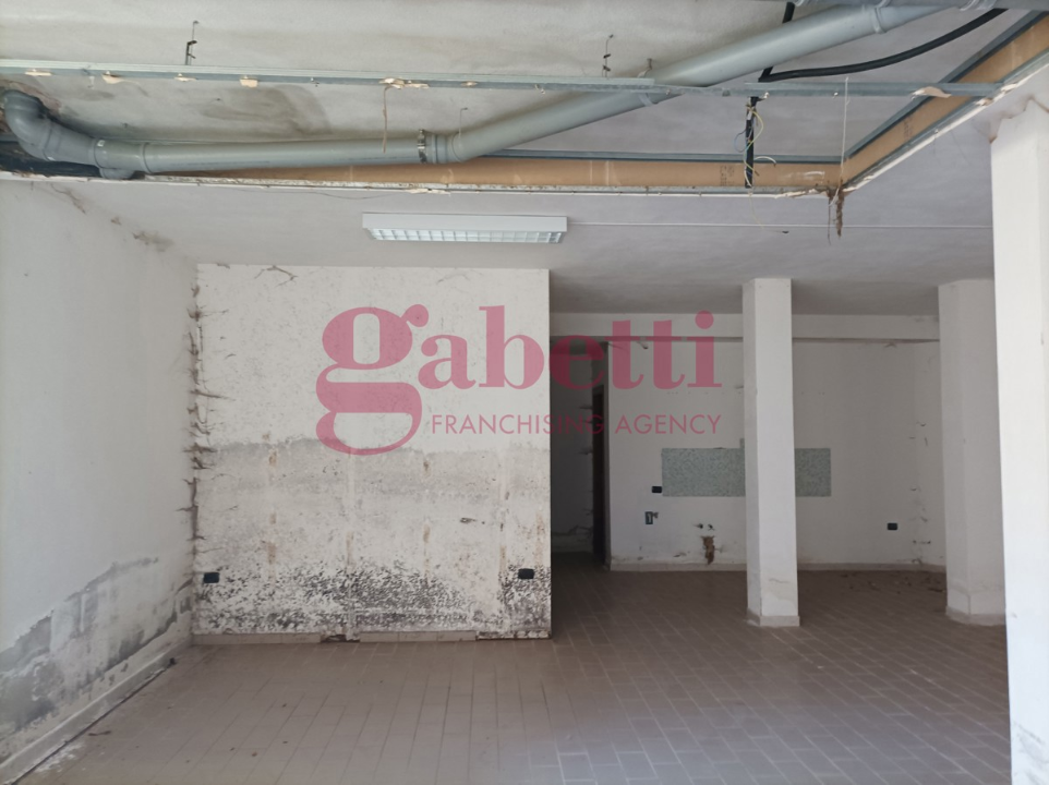 Laboratorio - Image 15