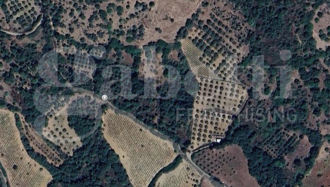 Terreno - Image 2