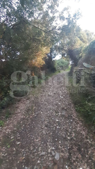 Terreno - Image 6