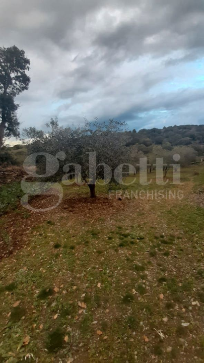 Terreno - Image 8