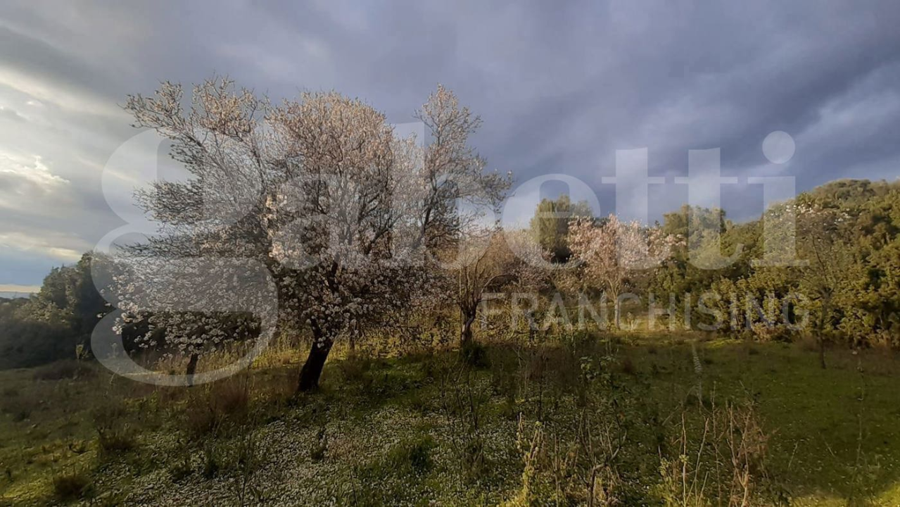 Terreno - Image 5