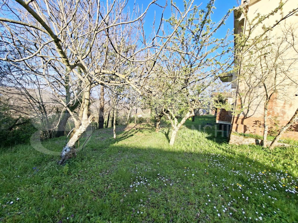 Casa Indipendente - Image 6