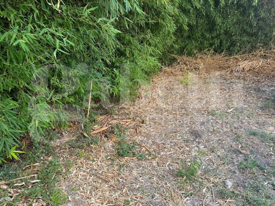 Casa Indipendente - Image 15