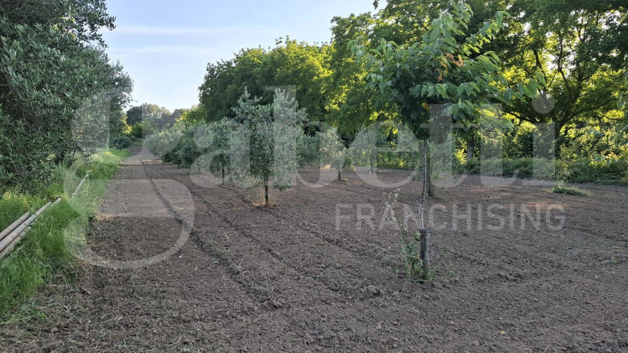 Casa Indipendente - Image 20