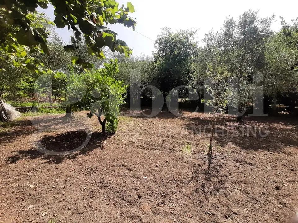 Casa Indipendente - Image 24