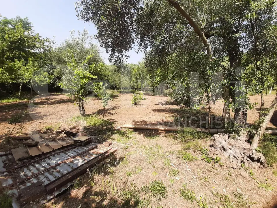 Casa Indipendente - Image 6