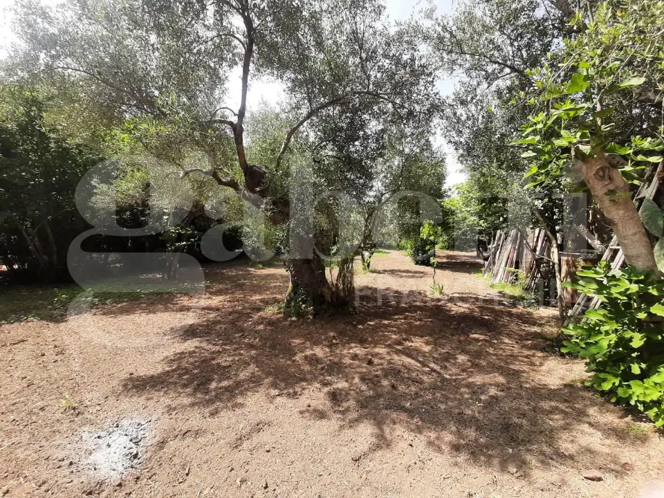 Casa Indipendente - Image 28