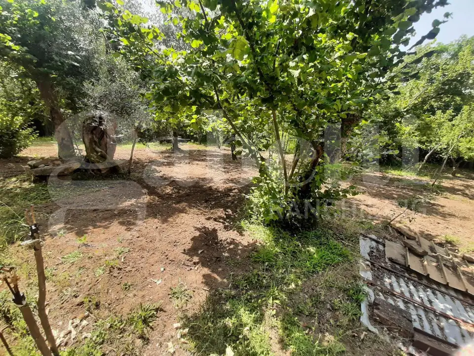 Casa Indipendente - Image 4