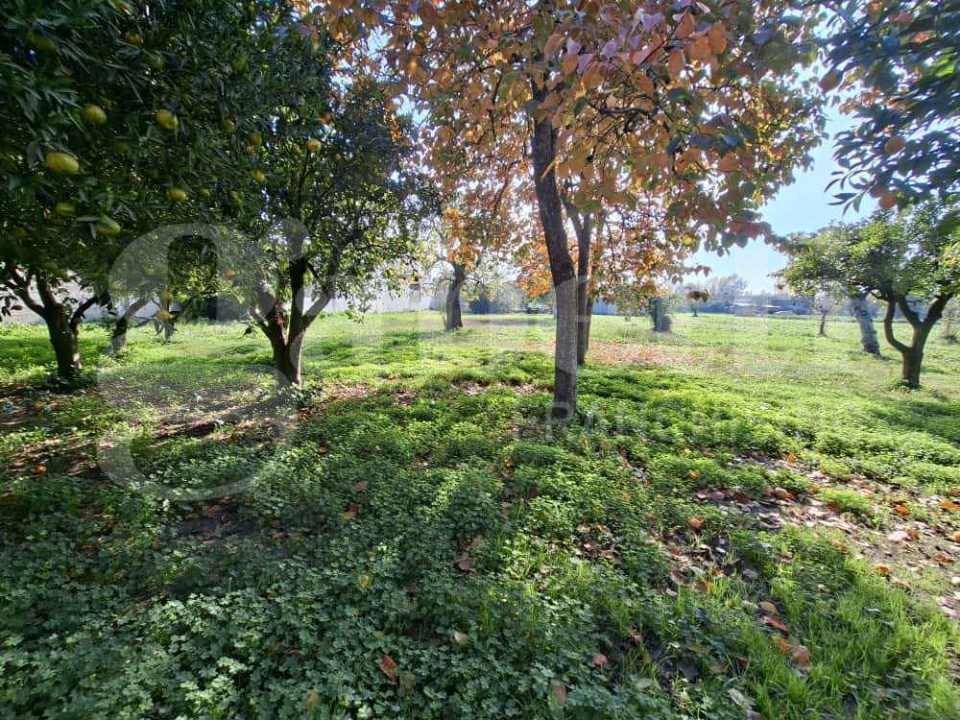 Casa Indipendente - Image 4