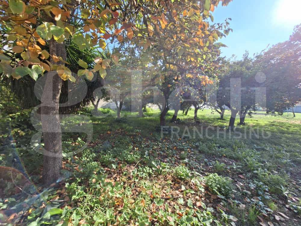 Casa Indipendente - Image 23