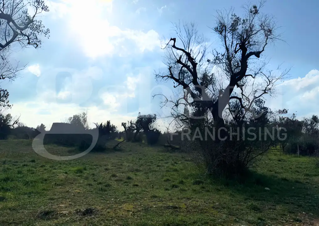 Casa Indipendente - Image 6