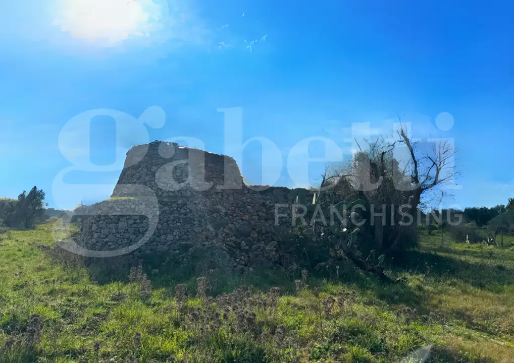 Casa Indipendente - Image 3