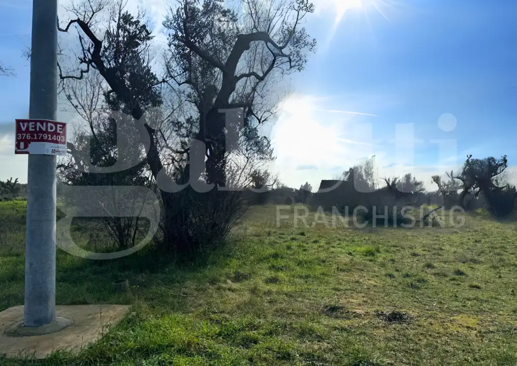 Casa Indipendente - Image 2