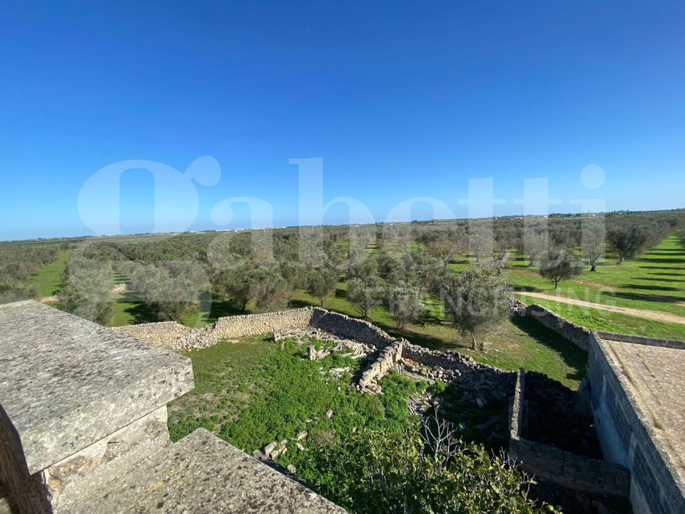 Casa Indipendente - Image 17