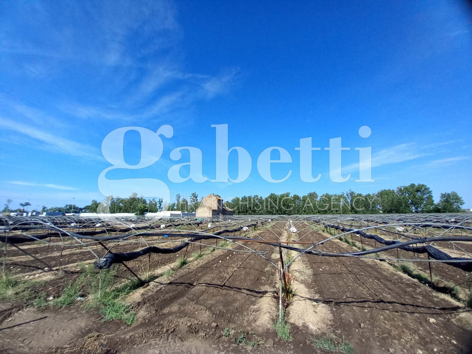 Terreno - Image 13