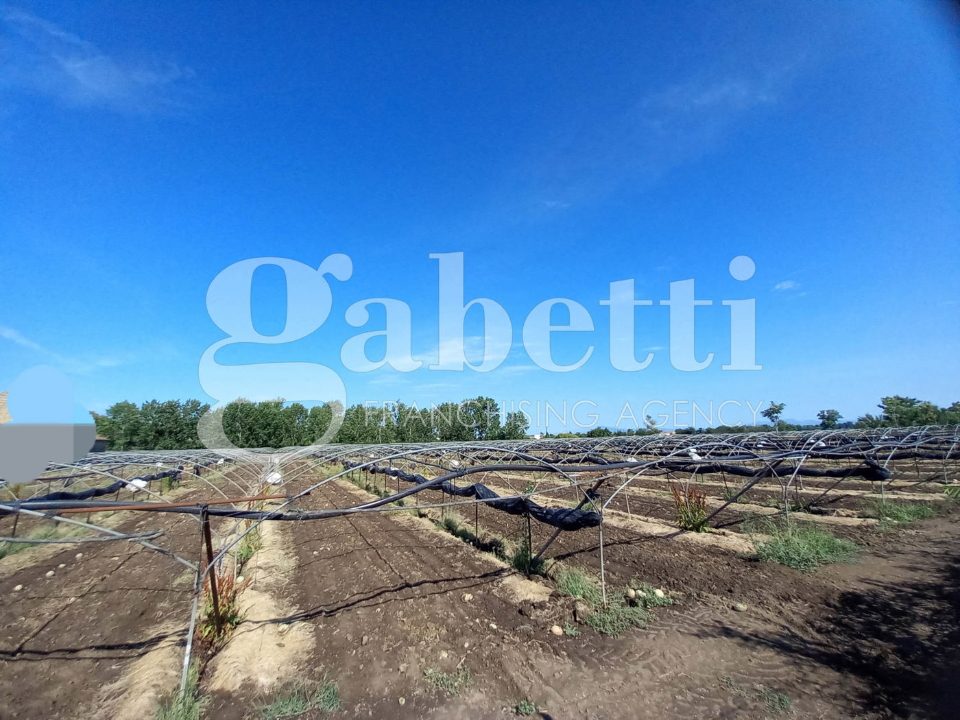 Terreno - Image 11