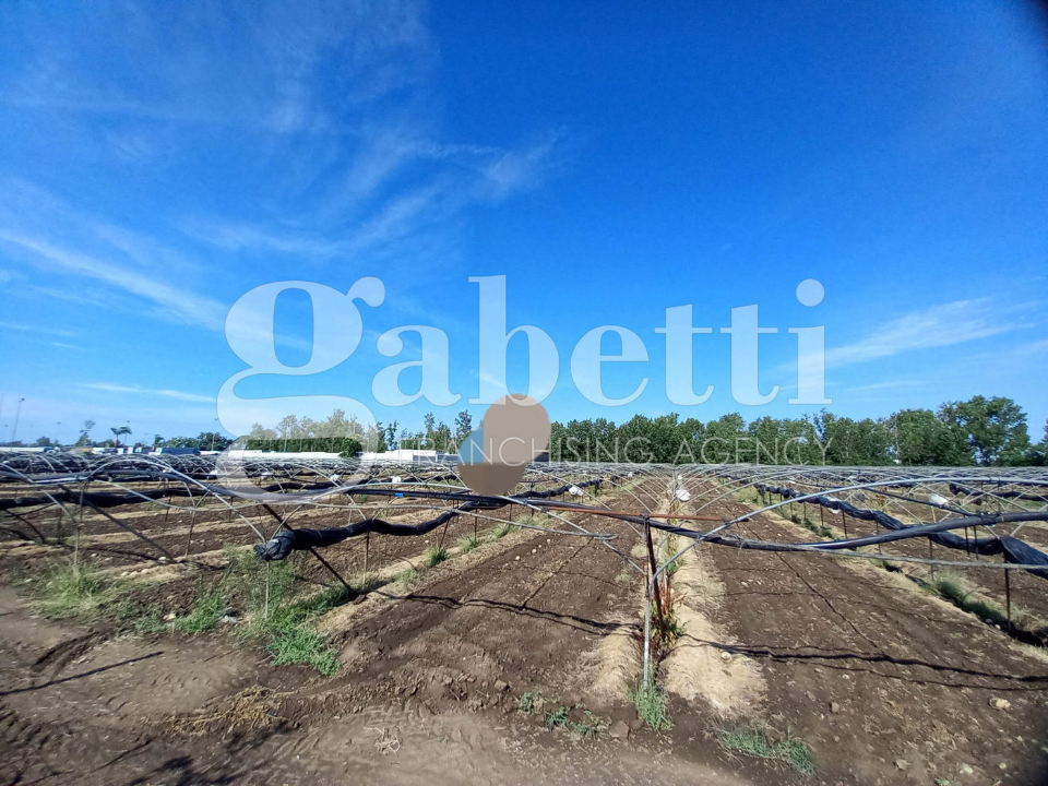 Terreno - Image 3