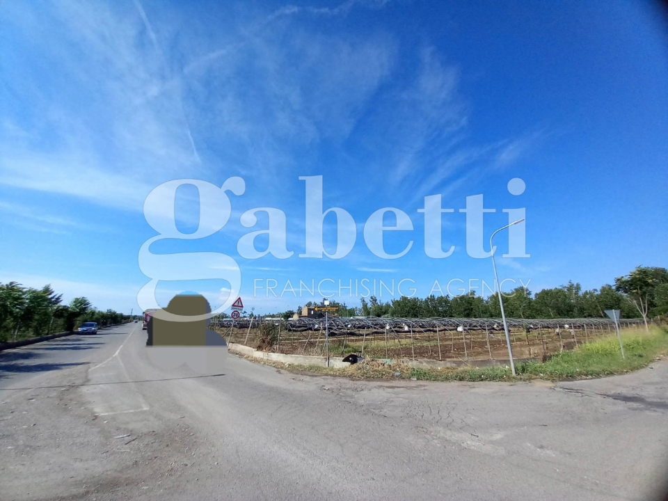 Terreno - Image 5