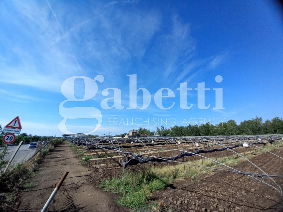 Terreno - Image 15