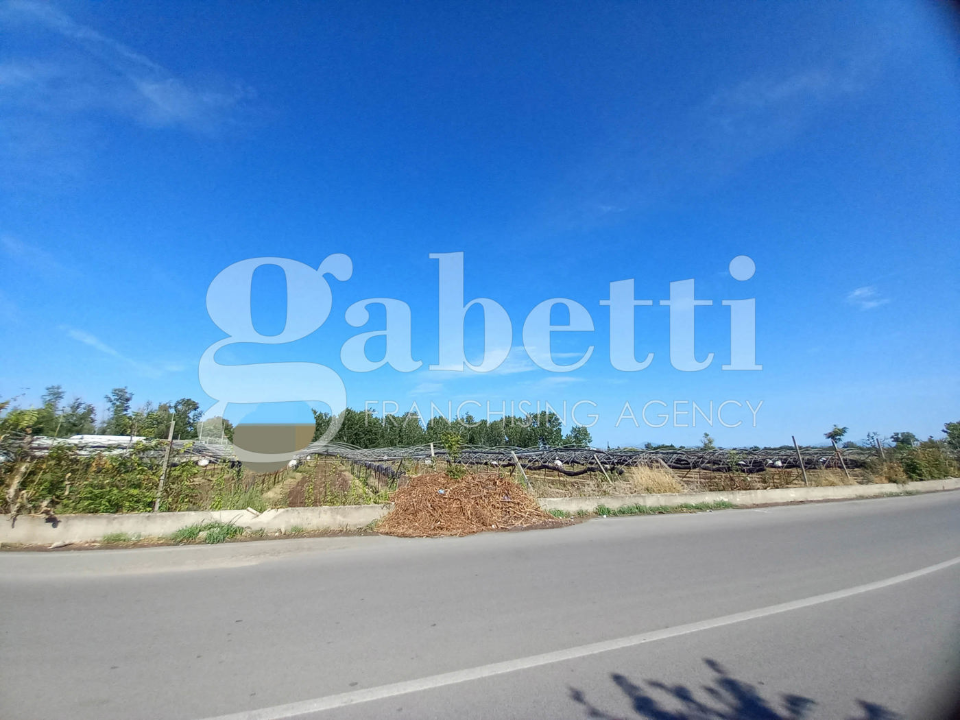 Terreno - Image 1