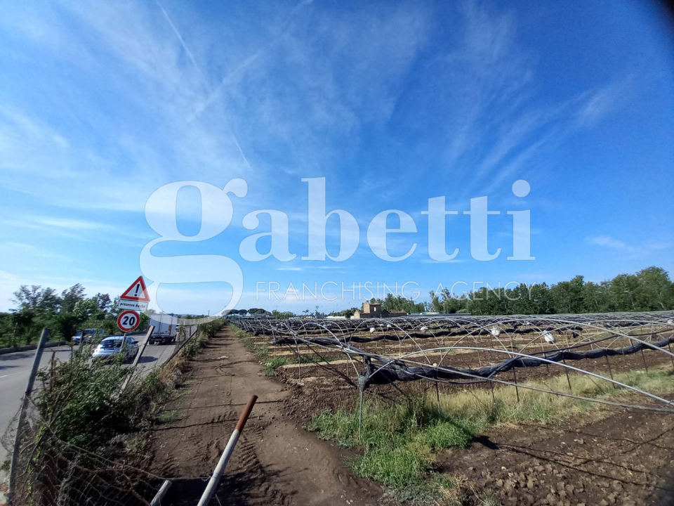 Terreno - Image 7