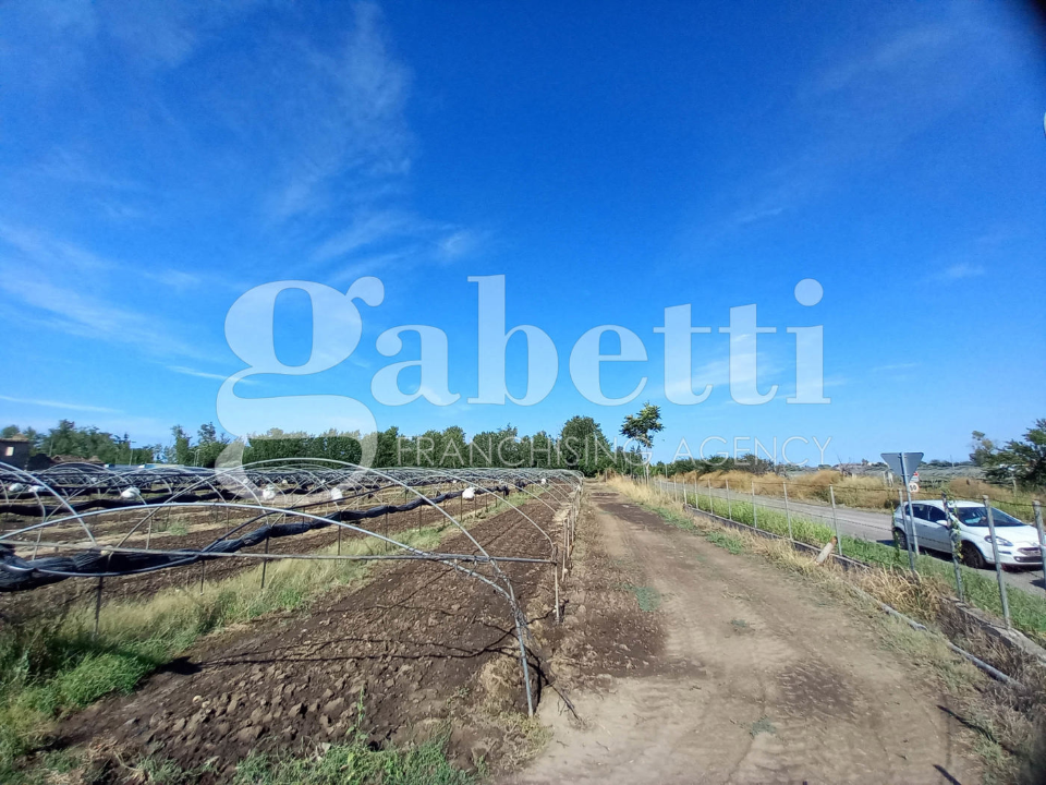 Terreno - Image 16