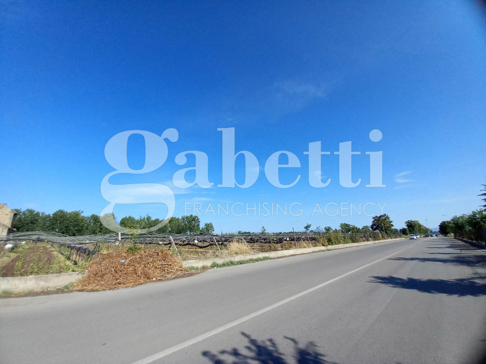 Terreno - Image 10