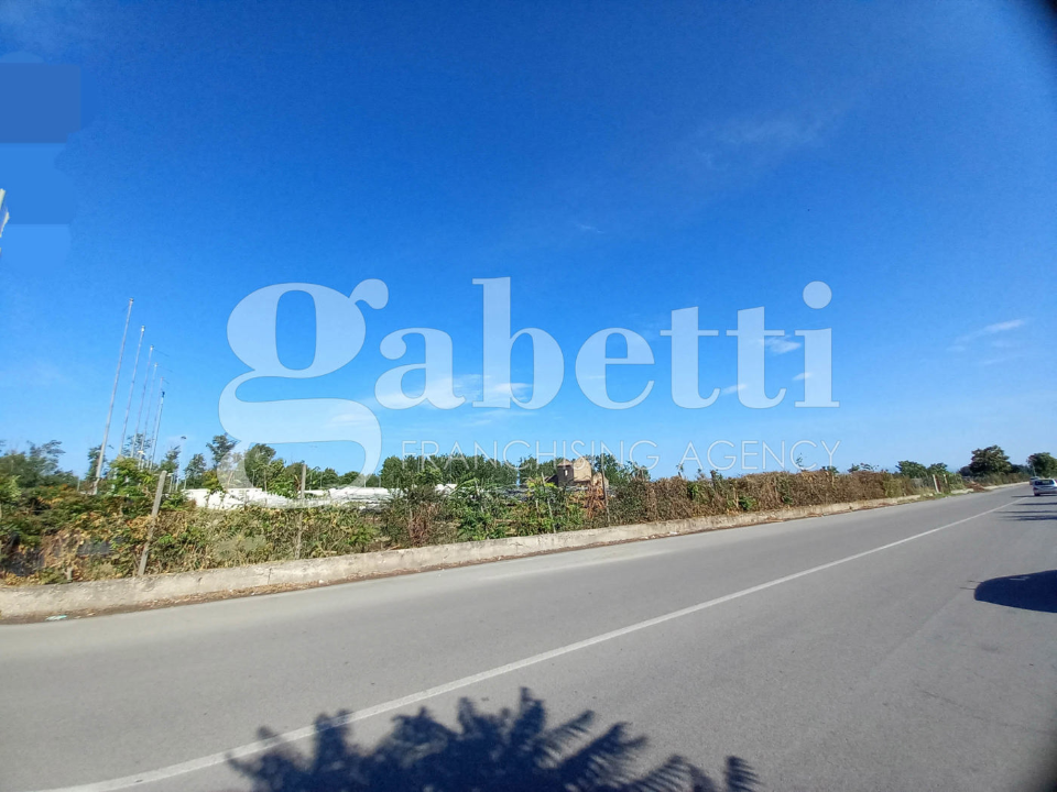 Terreno - Image 6